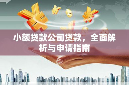 建湖小额贷款公司贷款，全面解析与申请指南