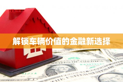 建湖解锁车辆价值的金融新选择
