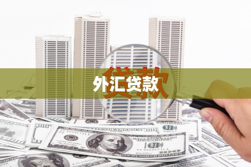 建湖外汇贷款
