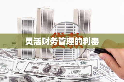 建湖灵活财务管理的利器