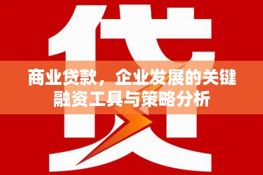 建湖商业贷款，企业发展的关键融资工具与策略分析