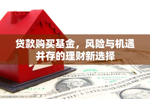 建湖贷款购买基金，风险与机遇并存的理财新选择