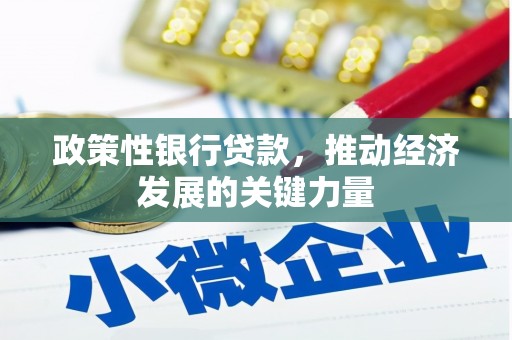 建湖政策性银行贷款，推动经济发展的关键力量