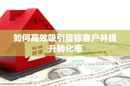 建湖如何高效吸引目标客户并提升转化率