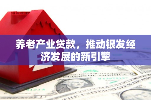 建湖养老产业贷款，推动银发经济发展的新引擎