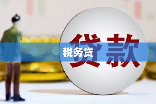 建湖税务贷