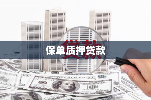 建湖保单质押贷款