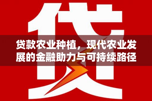 建湖贷款农业种植，现代农业发展的金融助力与可持续路径