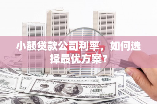 建湖小额贷款公司利率，如何选择最优方案？