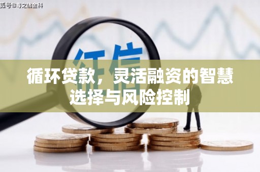 建湖循环贷款，灵活融资的智慧选择与风险控制