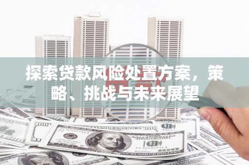 建湖探索贷款风险处置方案，策略、挑战与未来展望