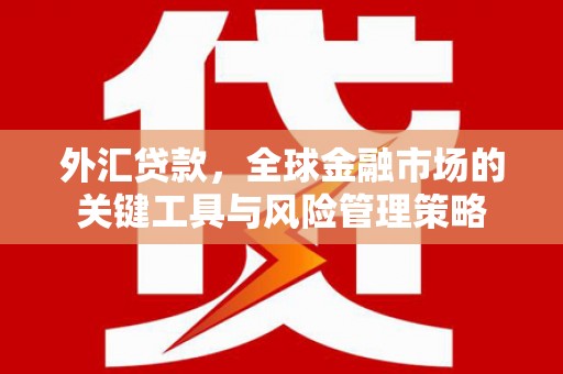 建湖外汇贷款，全球金融市场的关键工具与风险管理策略