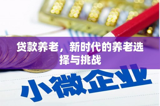 建湖贷款养老，新时代的养老选择与挑战