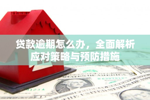 建湖贷款逾期怎么办，全面解析应对策略与预防措施