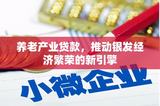 建湖养老产业贷款，推动银发经济繁荣的新引擎