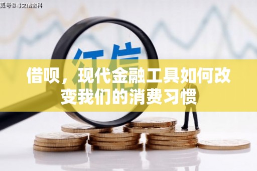 建湖借呗，现代金融工具如何改变我们的消费习惯