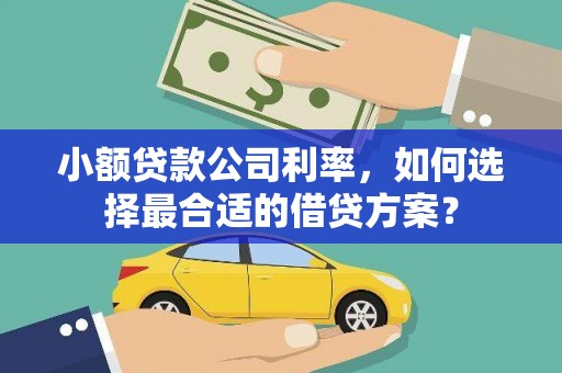 建湖小额贷款公司利率，如何选择最合适的借贷方案？