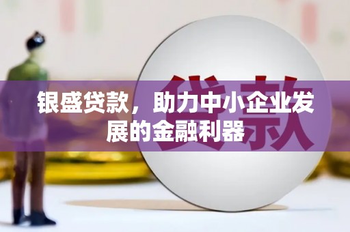 建湖银盛贷款，助力中小企业发展的金融利器