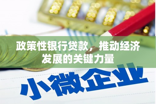 建湖政策性银行贷款，推动经济发展的关键力量