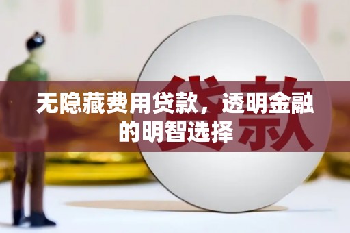 建湖无隐藏费用贷款，透明金融的明智选择