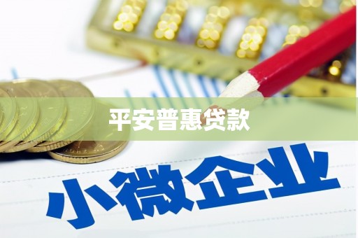 建湖平安普惠贷款