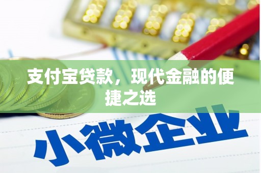建湖支付宝贷款，现代金融的便捷之选