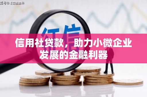 建湖信用社贷款，助力小微企业发展的金融利器
