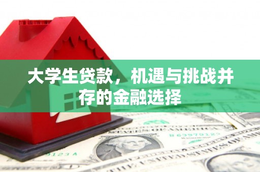 建湖大学生贷款，机遇与挑战并存的金融选择