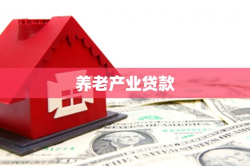 建湖养老产业贷款