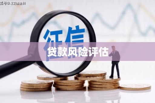 建湖贷款风险评估