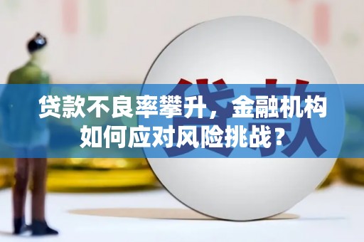 建湖贷款不良率攀升，金融机构如何应对风险挑战？