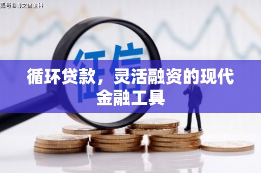 建湖循环贷款，灵活融资的现代金融工具