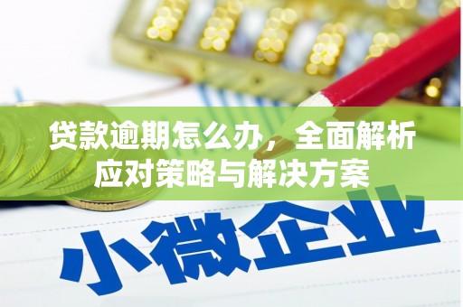 建湖贷款逾期怎么办，全面解析应对策略与解决方案