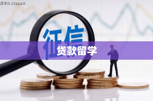 建湖贷款留学