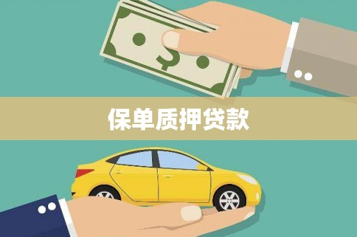 建湖保单质押贷款